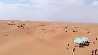 航拍沙坡头沙漠骆驼干旱的沙漠实拍视频4k视频的预览图